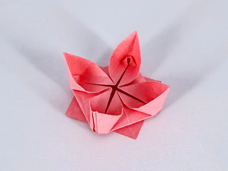 Lotus - origami