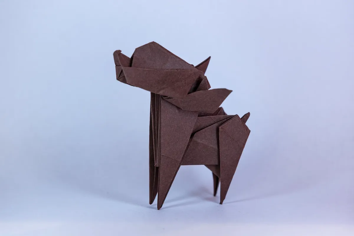 Pies - Chihuahua - origami, zdjęcie 2