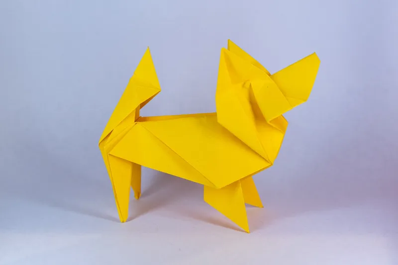 Pies - Papillon - origami
