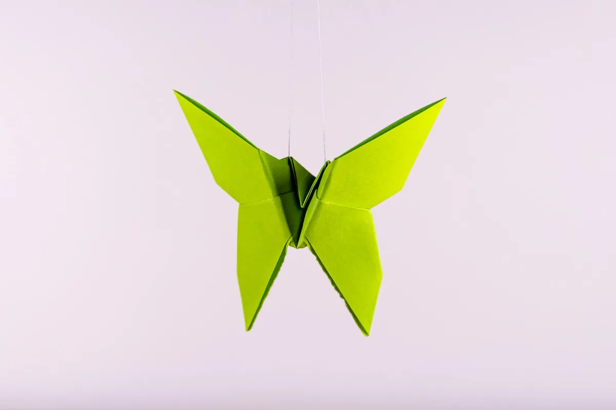 Motyl - origami, zdjęcie 5