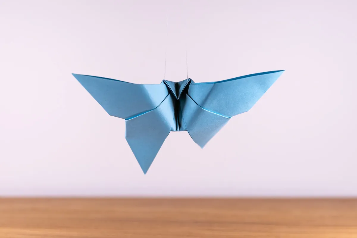 Motyl - origami, zdjęcie 7