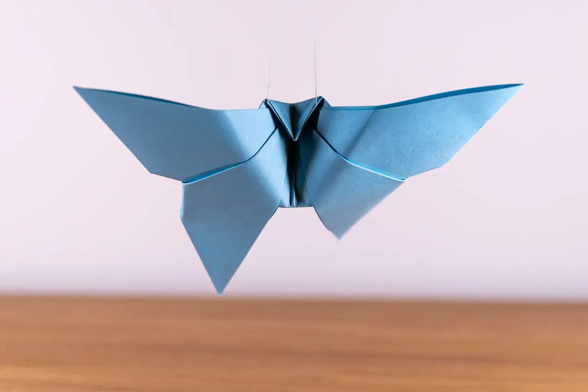 Motyl - origami, zdjęcie 9