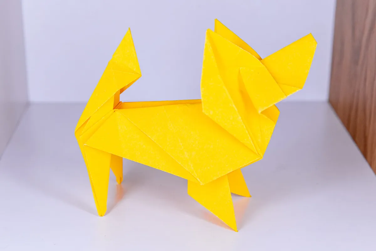 Pies - Papillon - origami, zdjęcie 3
