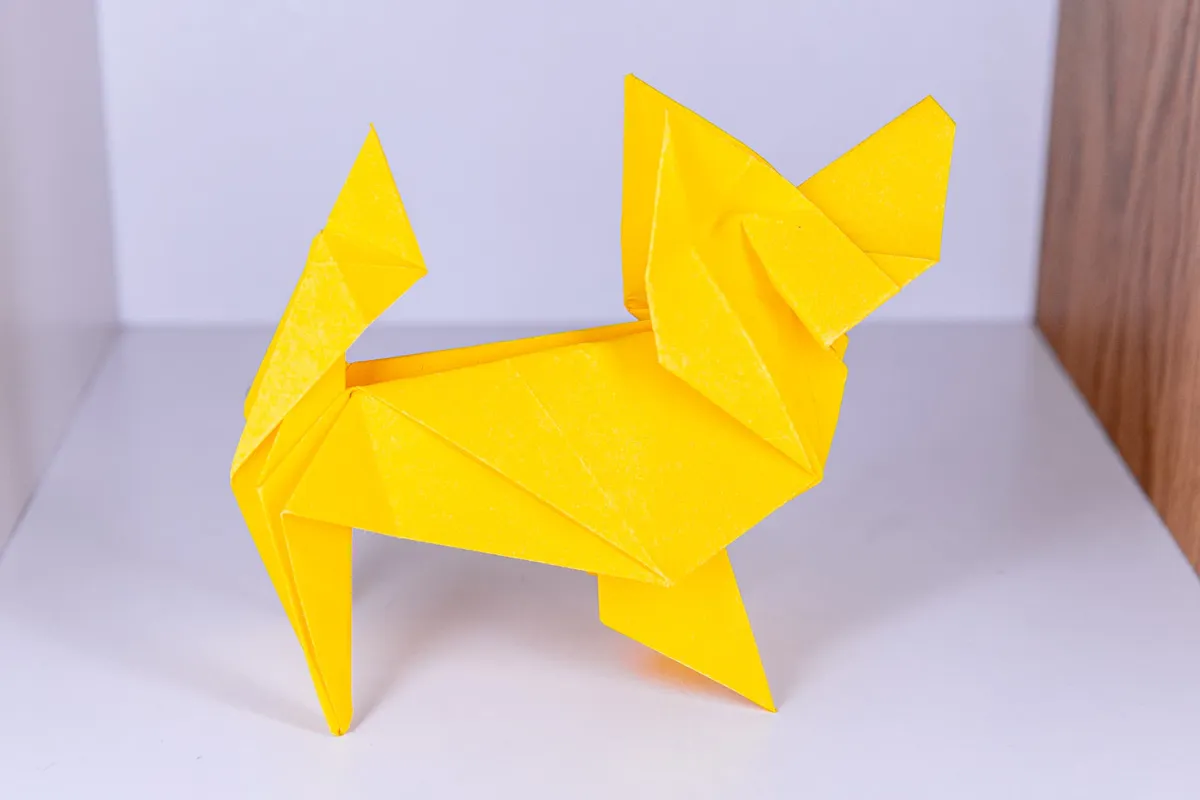 Pies - Papillon - origami, zdjęcie 4