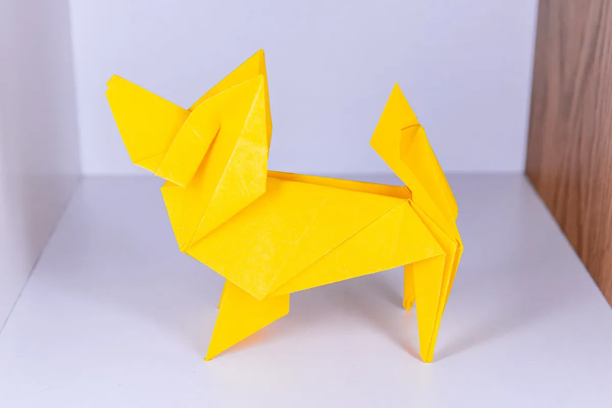Pies - Papillon - origami, zdjęcie 5