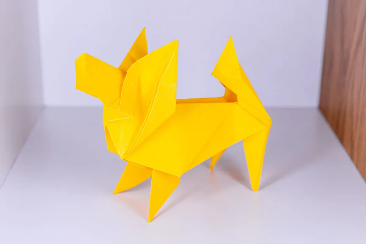 Pies - Papillon - origami, zdjęcie 6