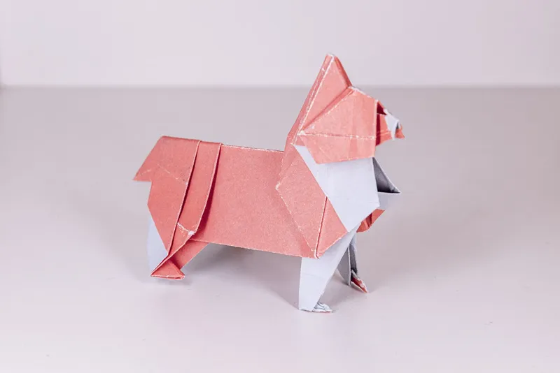 Pies - Corgi - origami