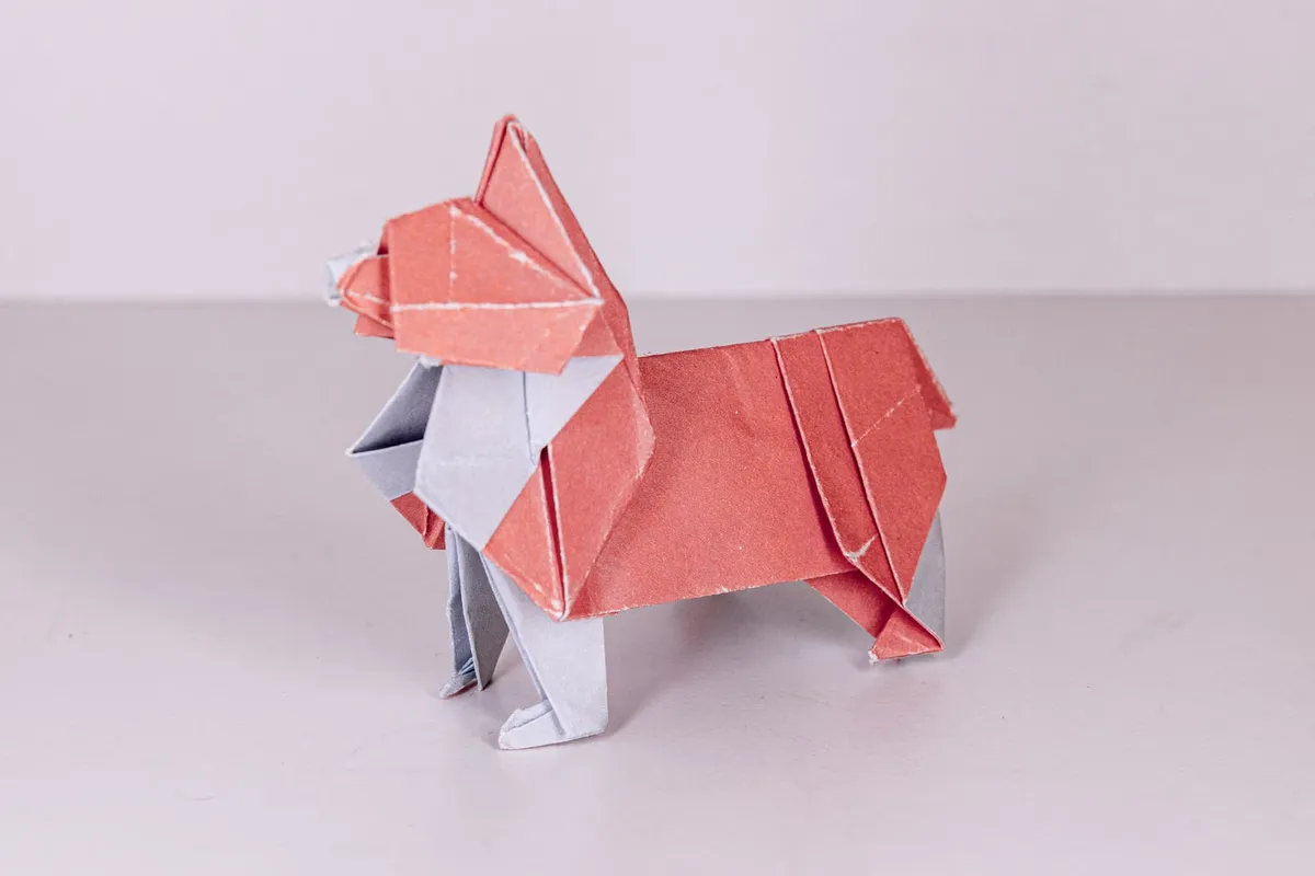 Pies - Corgi - origami, zdjęcie 4