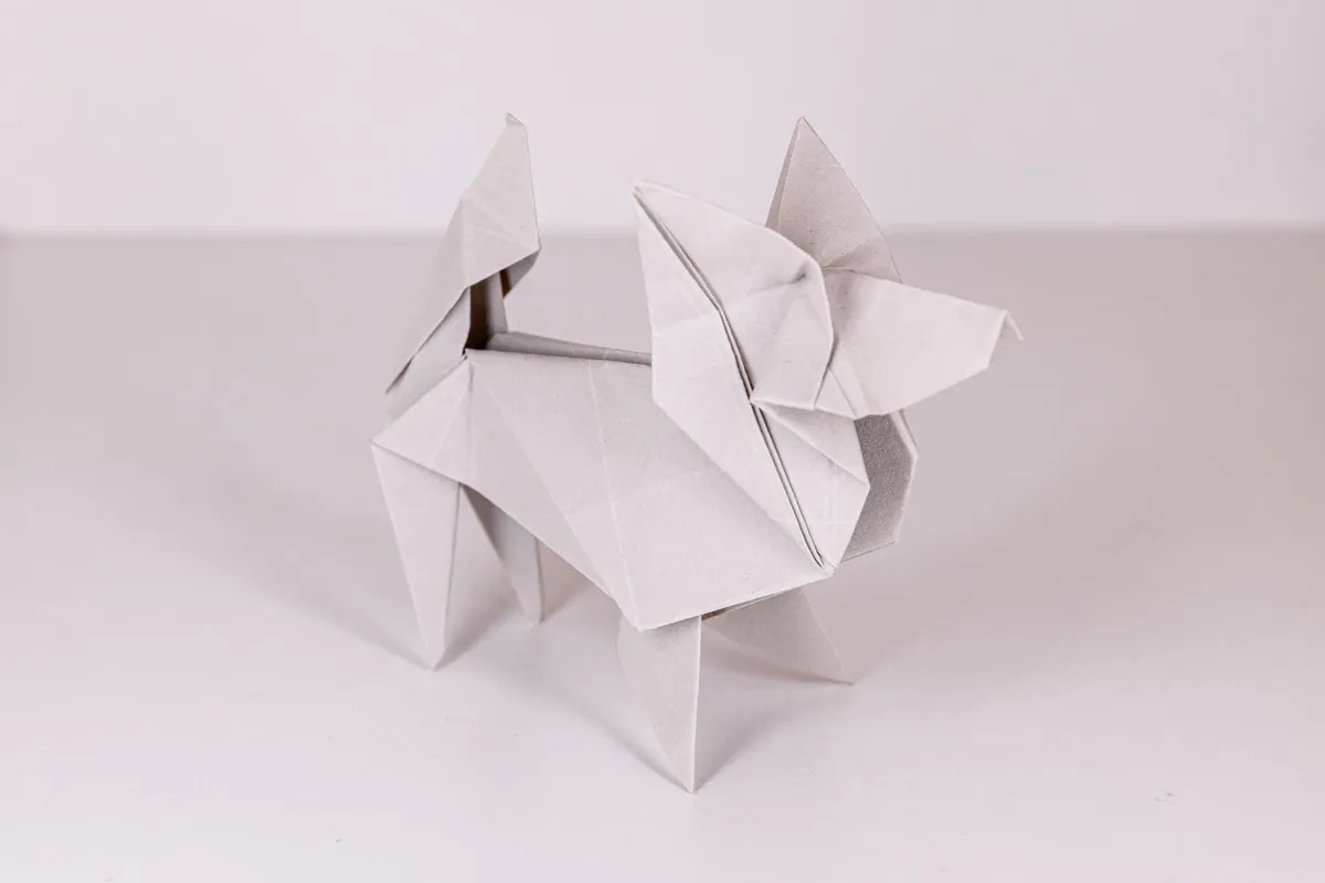 Pies - Papillon - origami, zdjęcie 7