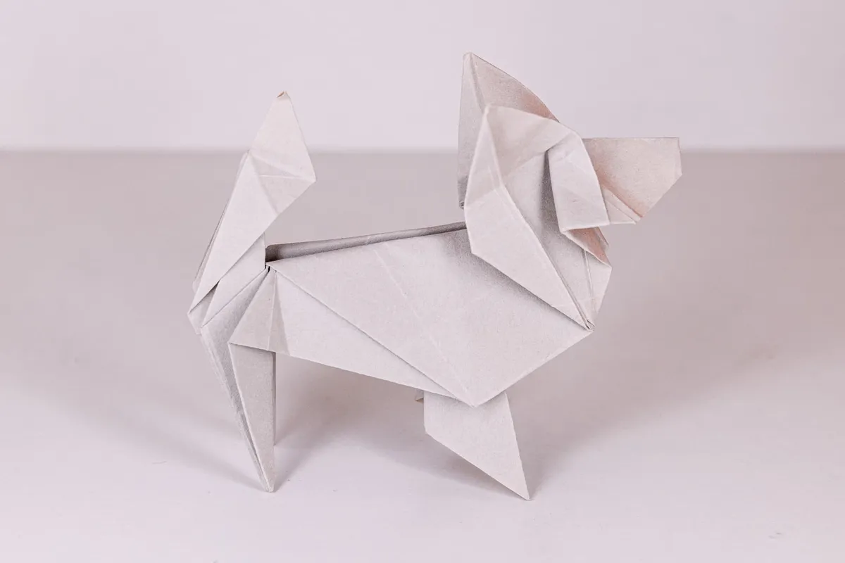 Pies - Papillon - origami, zdjęcie 8