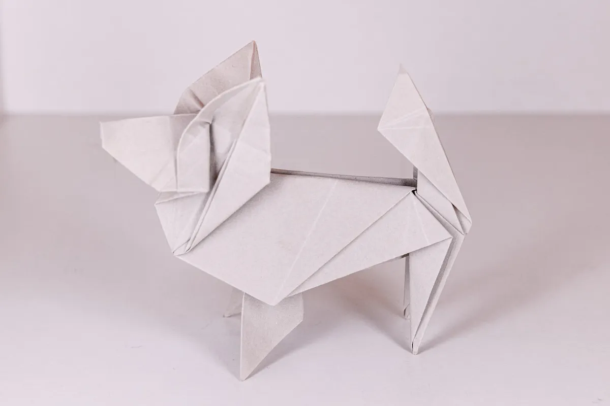 Pies - Papillon - origami, zdjęcie 9