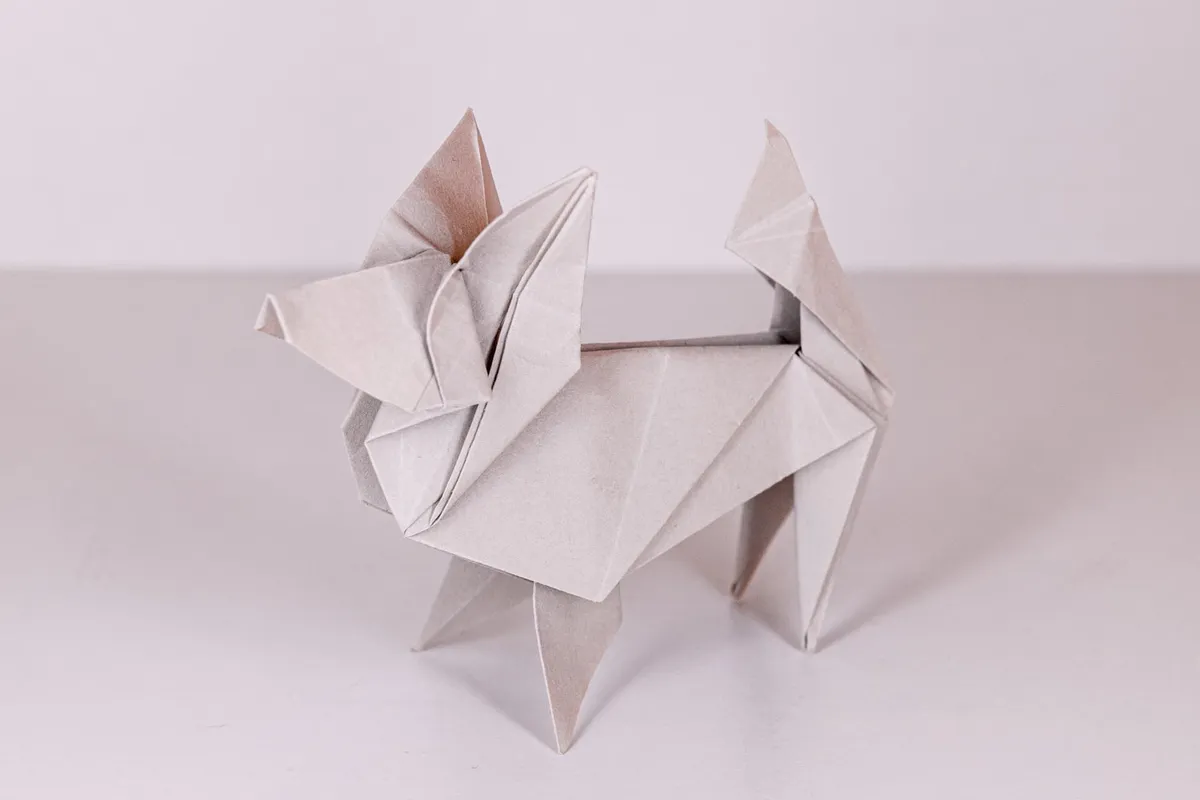 Pies - Papillon - origami, zdjęcie 10