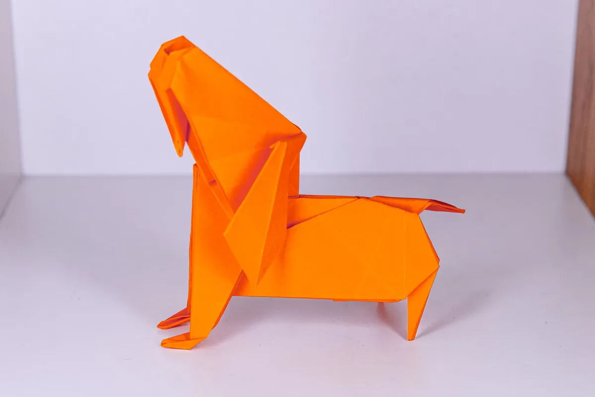 Pies - Miniature Dachshund - origami, zdjęcie 4