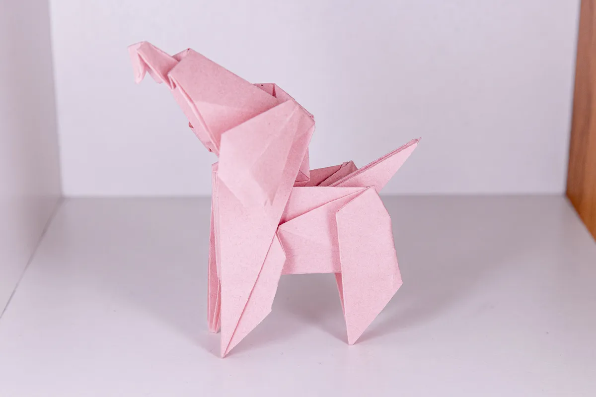 Pies - Toy Poodle - origami, zdjęcie 5